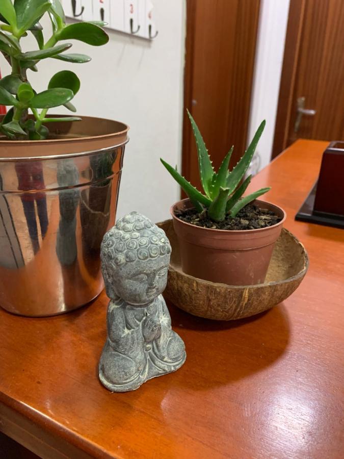 Guest House De Rada Тирана Екстериор снимка